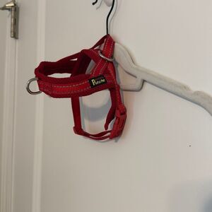 Red Dog Harness